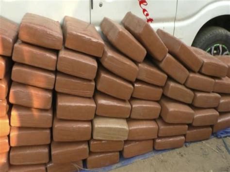 Assam: Police seize 53 packets of Ganja worth around Rs 53 lakh in ...