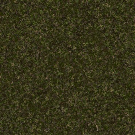 Swamp Ground Texture 的图像结果