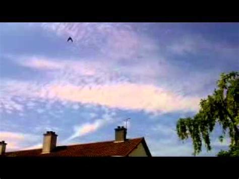 Image result for scalar clouds photos