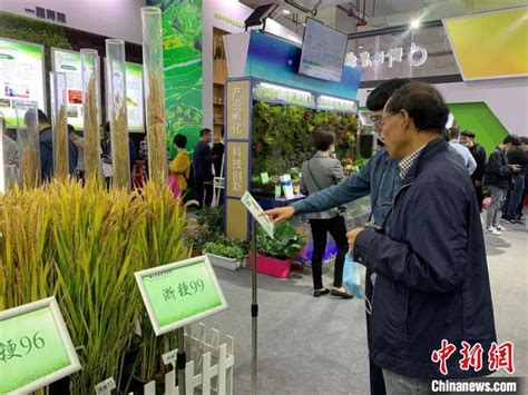 2019年浙江县域农产品网络零售额达819亿元-新闻频道-和讯网