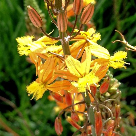 Elevation of N 10th St, McAllen, TX, USA - Topographic Map - Altitude Map