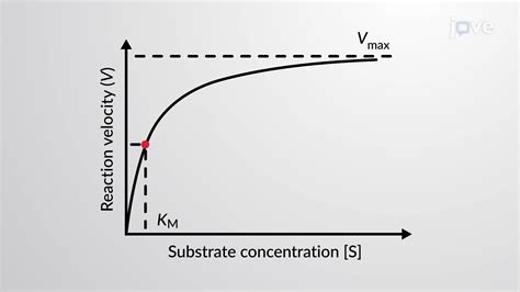 视频: 酶促反应动力学
