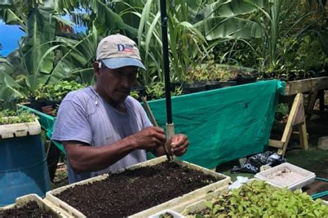 Image result for Local Food Production