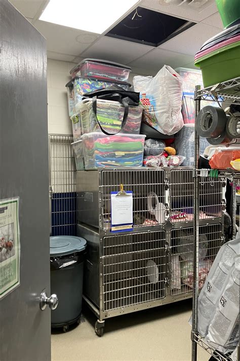 Ames Animal Shelter unveils plans for expanded facilities to care for ...