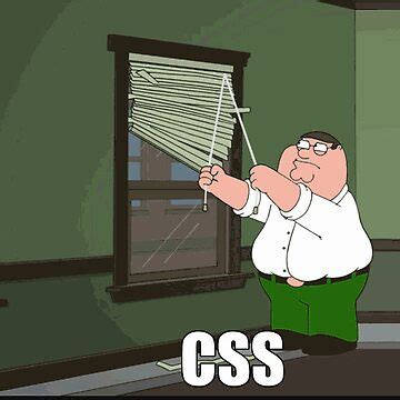 Image result for CSS Developer Meme