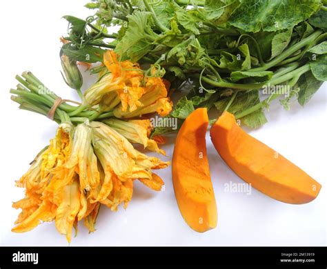 Which Pumpkin Leaves Are Edible at Carrie Booker blog