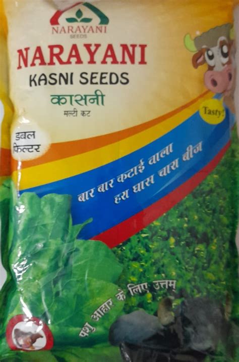 Narayani Kasni Seeds