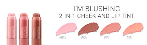 Buy Palladio Beauty I'M BLUSHING 2IN1 CHEEK LIP TINT 0.2 oz, Dainty, 6 ...