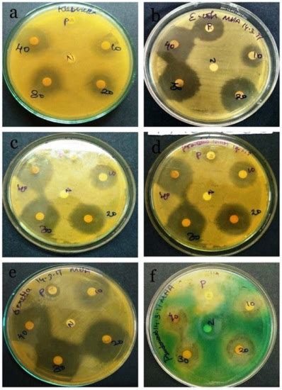 Biotech Just Received Pattern 的图像结果