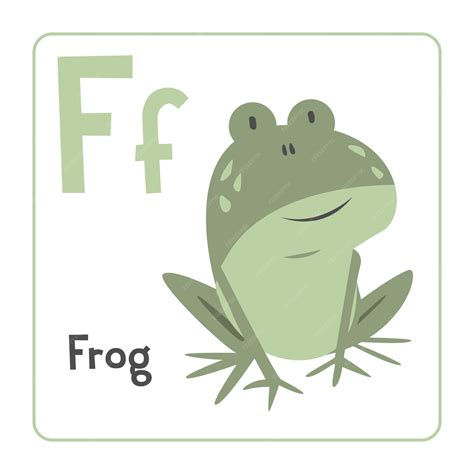 Premium Vector | Frog clipart frog vector illustration cartoon flat ...