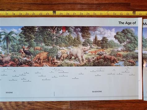 Age Of Mammals Poster Of Rudolph F. Zallinger Mural Almost 6 Feet ...