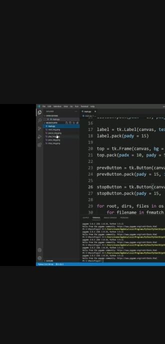 Musique Python 的图像结果