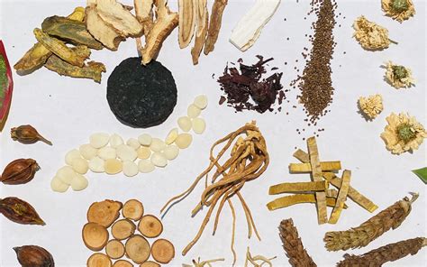 Chinese Herbal Medicine