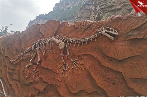 仿真恐龙化石多少钱？恐龙化石模型制作_自贡大洋艺术有限责任公司