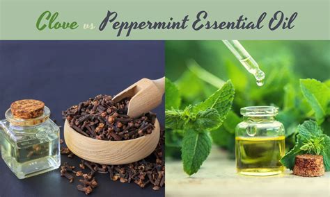Clove vs. Peppermint Essential Oil: Which is Better? - The Coconut Mama