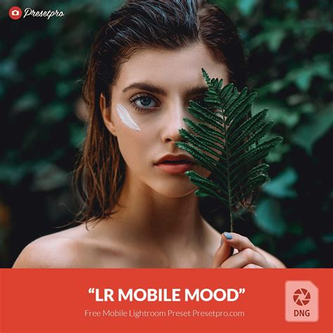 Free Mobile DNG Preset for Lightroom | Bohemian - Presetpro.com