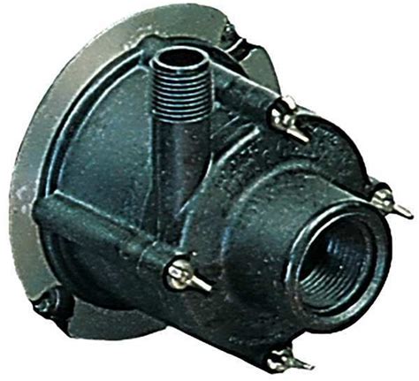 Little Giant Pump Pump Head, Without Motor 584698 | Zoro