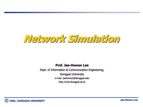 Network Simulation Examples 的图像结果