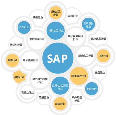 什么是SAP?