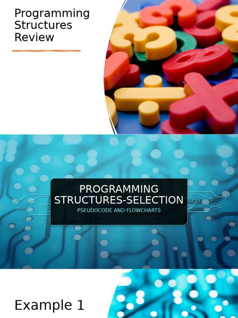 Selection Computer Programming 的图像结果