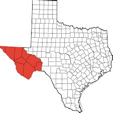 Image result for Texas Exploding Heart Quilt Block Pattern