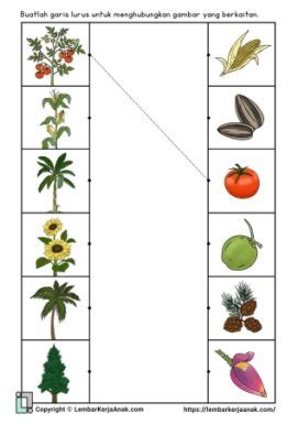 Image result for C Programming Structure Examples