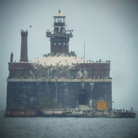 Wilson Avenue Crib | The Montrose Birding Blog