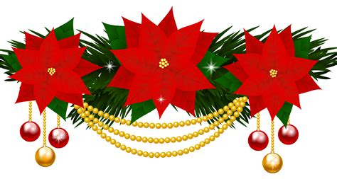 Free Poinsettias Cliparts, Download Free Poinsettias Cliparts png ...