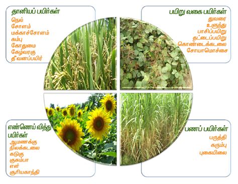 Index of /ta/crop_protection
