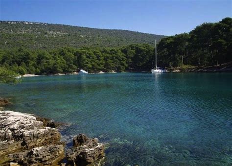 Beaches - Veli Losinj @ Island Losinj - ASL Agency