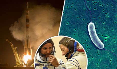 Alien Bacteria 的图像结果