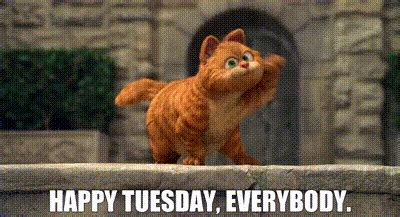 Funny Tuesday GIFs | GIFDB.com