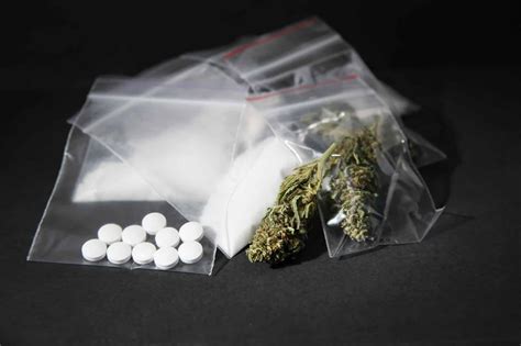 Can Insects Get High? (+ Interesting Facts)