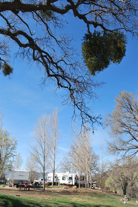 Indian Hills Campsite