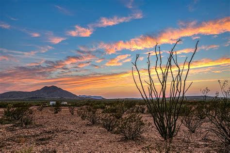 Texas 的图像结果