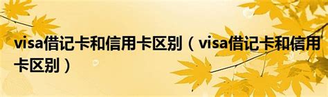 5大VISA信用卡推荐汇总，对比20家银行VISA信用卡申请及办理！，海淘攻略 - visa借记卡和visa信用卡区别 - 实验室设备网