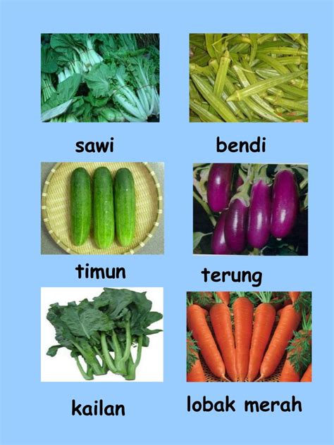 jenis masakan telur