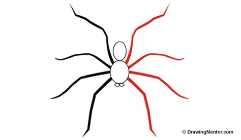 Spider Drawing