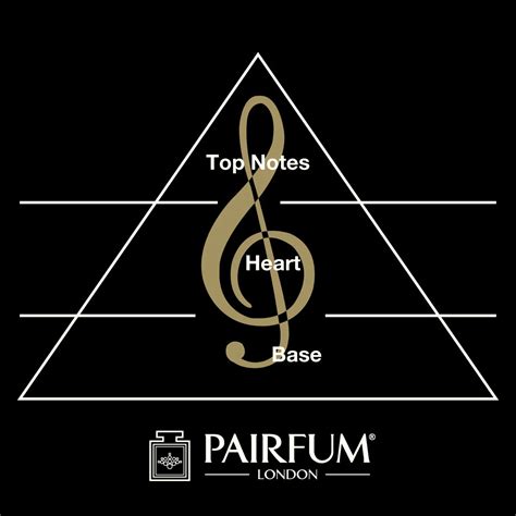 Identify the Key Notes in Perfume - Here's How!