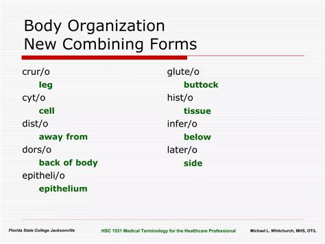 Body Organization Terminology | PPT