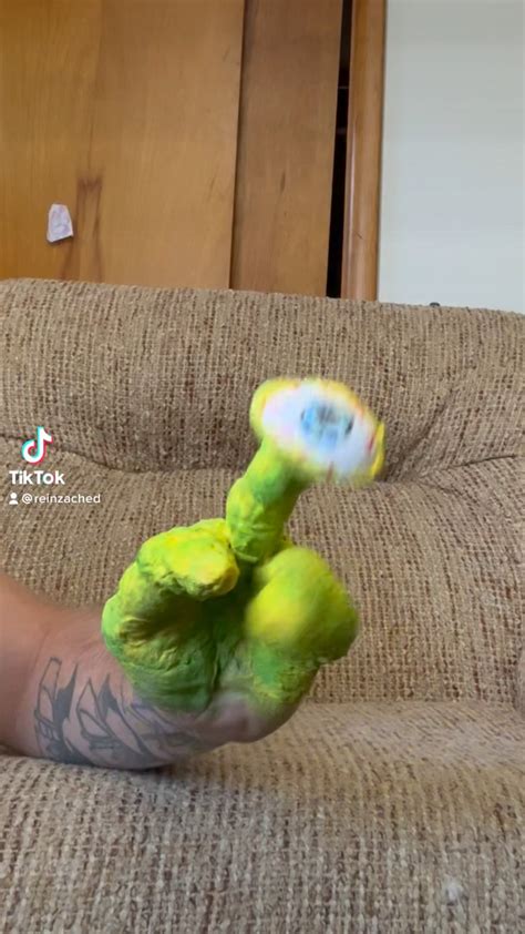 Image result for Alien Tiktk