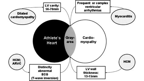 Athlete's heart complications diagnosis and prognosis