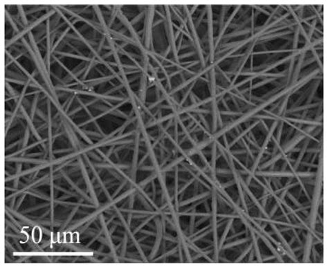 Antibacterial Composite Material Based on Polyhydroxybutyrate and Zn ...