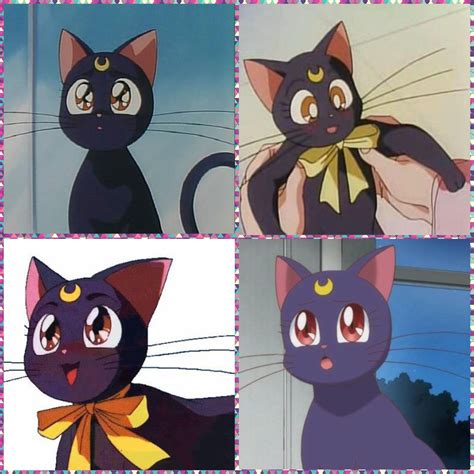 +19 Sailor Moon Cats Referensi · News