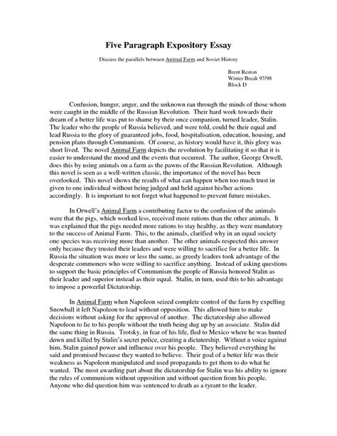 Image result for 5 Paragraph Essay Example
