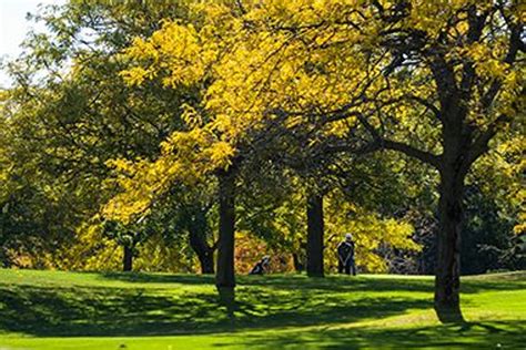 Theodore Wirth Golf Club (Par 3) - Golf Course Information | Hole19