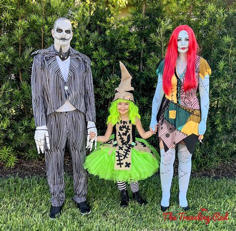 Easy Halloween Costumes For Family Of 5 at Claudia Judith blog