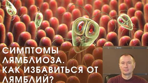 Лекарство от лямблий у взрослых и детей: лечение, что принимать