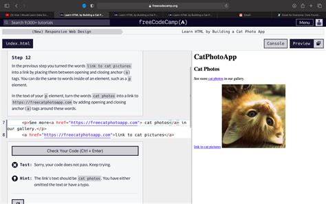 Image result for Step 12 Freecodecamp HTML