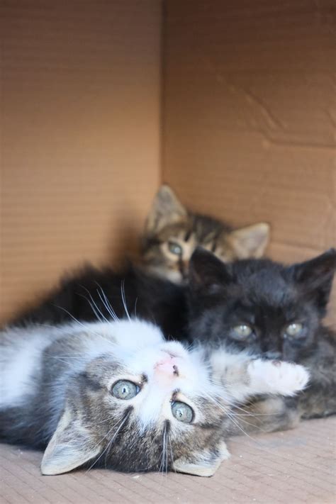 Imperative vs Declarative Programming 的图像结果